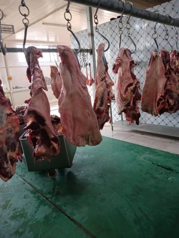 Boneless Donkey Meat