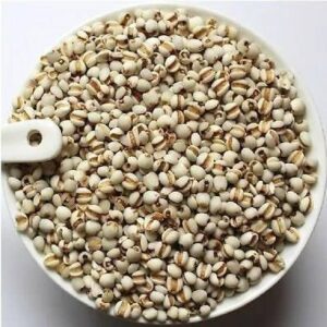 Coix Seed