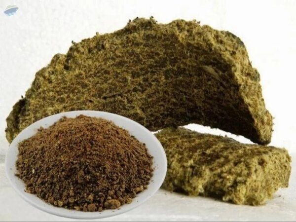 Cotton Seed Meal