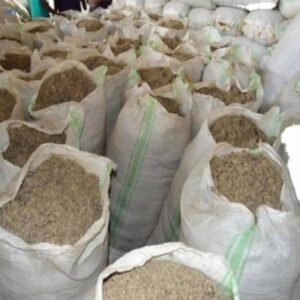Cotton Seed Meal
