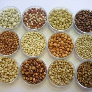 Organic sorghum