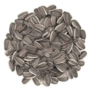Sun Flower Seed