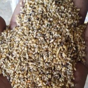 Wheat Cattle Feed
